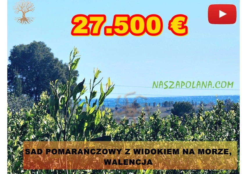 Sad pomarańczowy z widokiem na morze i góry, Walencja